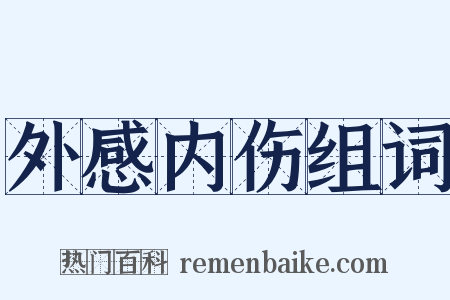外感内伤组词是什么意思的图片